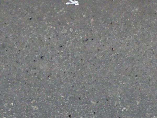 Road edge texture, grey in color with tiny rocks embedded within it, meeting an uneven area of clumped white and brown snow.